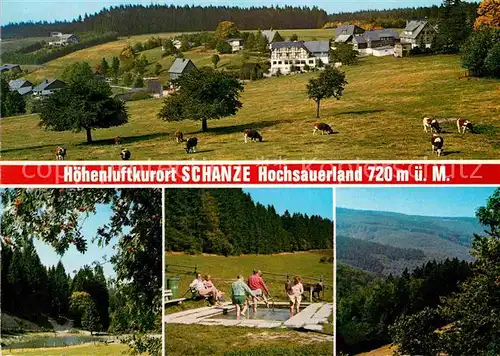 AK / Ansichtskarte Schanze Sauerland Wassertreten Partie am See Kuehe Kat. Schmallenberg