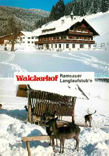 AK / Ansichtskarte Ramsau Dachstein Steiermark Pension Walcherhof Kat. Ramsau am Dachstein