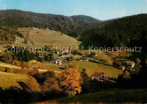 AK / Ansichtskarte Ruette Todtmoos Panorama Schwarzwald Herbststimmung Kat. Todtmoos