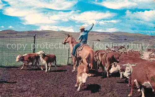 AK / Ansichtskarte Cowboys Roping  Kat. Landwirtschaft