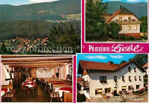 AK / Ansichtskarte Frahels Oberpfalz Pension Liebl  Kat. Lam