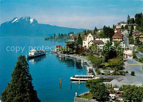 AK / Ansichtskarte Weggis Vierwaldstaettersee Kurort Promenade mit Pilatus Faehre