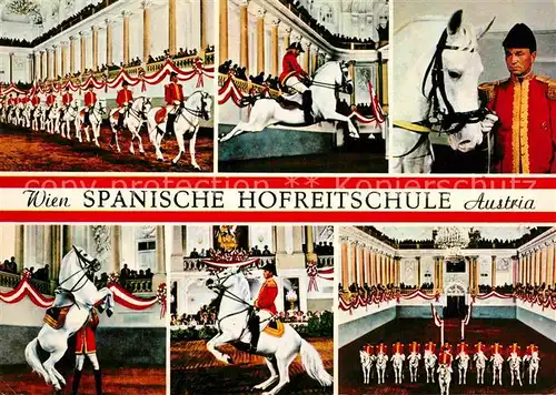 AK / Ansichtskarte Wien Spanische Hofreitschule weisse Pferde Kat. Wien