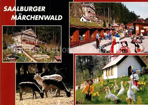 AK / Ansichtskarte Saalburg Saale Maerchenwald Freizeitpark mit Tiergehege Kat. Saalburg Ebersdorf