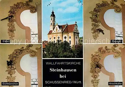 AK / Ansichtskarte Bad Schussenried Wallfahrtskirche Steinhausen Elster Eichhoernchen Papagei Hirschkaefer Kat. Bad Schussenried