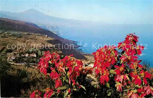 AK / Ansichtskarte Teneriffa mit Vulkan Teide Kat. Teneriffa