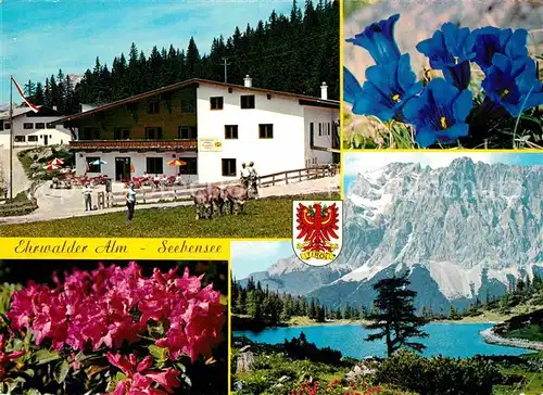 AK / Ansichtskarte Ehrwald Tirol Alm und Seebensee