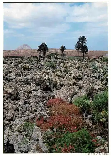 AK / Ansichtskarte La Oliva Paisaje volcanico Landschaftspanorama