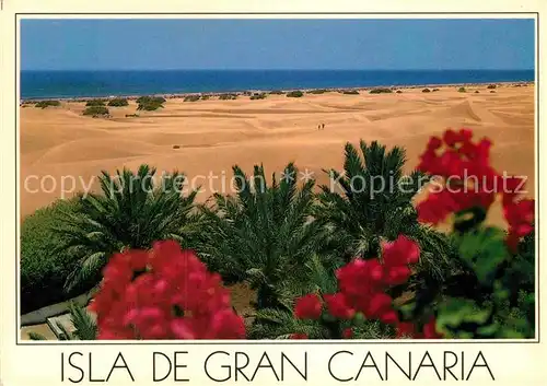 AK / Ansichtskarte Maspalomas Duenen Kat. Gran Canaria Spanien