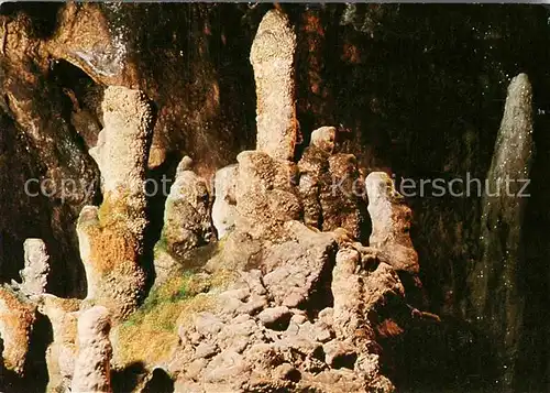 AK / Ansichtskarte Hoehlen Caves Grottes Warstein Burg Stolzenfels  Kat. Berge