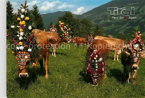 AK / Ansichtskarte Kuehe Almabtrieb Tirol  Kat. Tiere