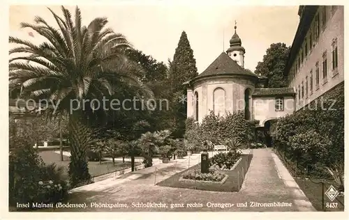 AK / Ansichtskarte Mainau Schlosskirche Phoenixpalme Orangen Zitronenbaeume Kat. Konstanz