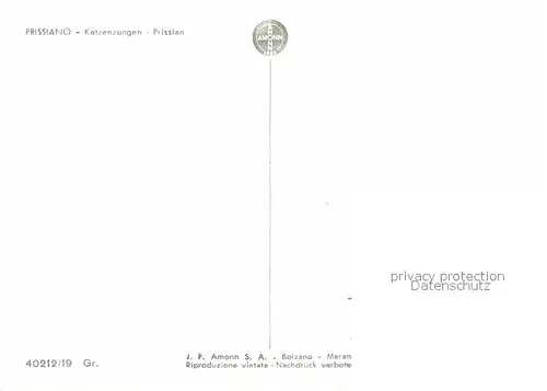 AK / Ansichtskarte Prissian Prissiano Castel Katzenzungen Baumbluete