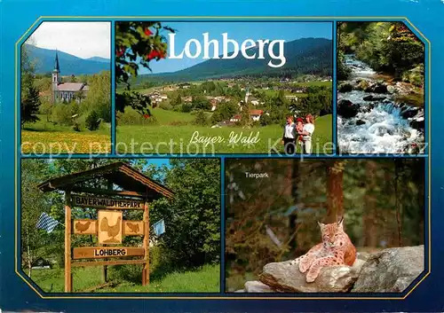 AK / Ansichtskarte Lohberg Lam Kirche Panorama Fluss Wildtierpark Luchs Kat. Lohberg