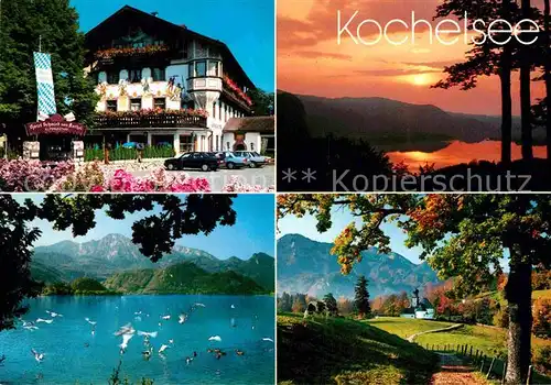 AK / Ansichtskarte Kochel See Alpenhotel Schmied von Kochel Herzogstand Heimgarten Kat. Kochel a.See