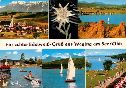 AK / Ansichtskarte Waging See mit Untersberg Chiemgaubergen Strandkurhaus Staufen Zwiesel Kat. Waging a.See