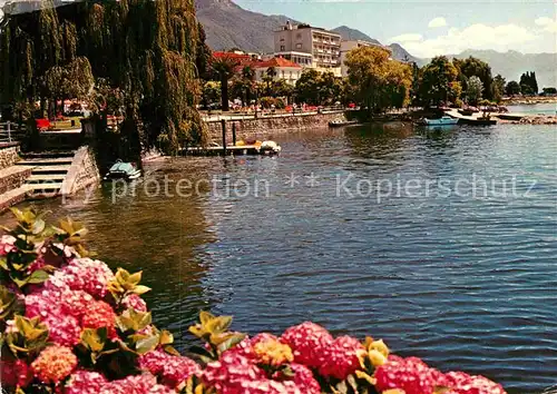 AK / Ansichtskarte Locarno Lago Maggiore Partie am Seeufer