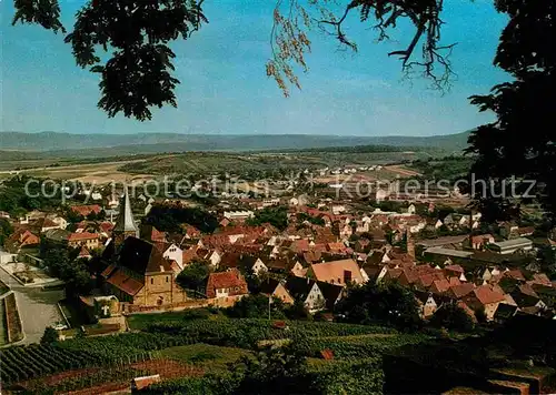 AK / Ansichtskarte Weinsberg Weibertreu Kat. Weinsberg