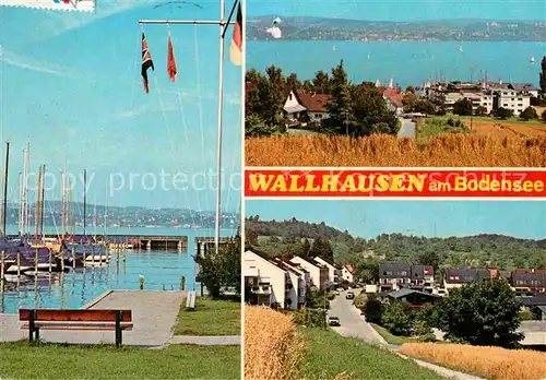 AK / Ansichtskarte Wallhausen Bodensee Hafen Panorama