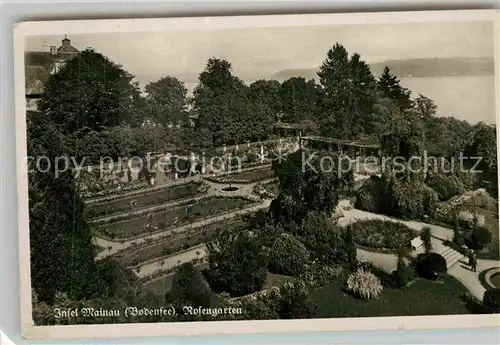 AK / Ansichtskarte Mainau Rosengarten Kat. Konstanz