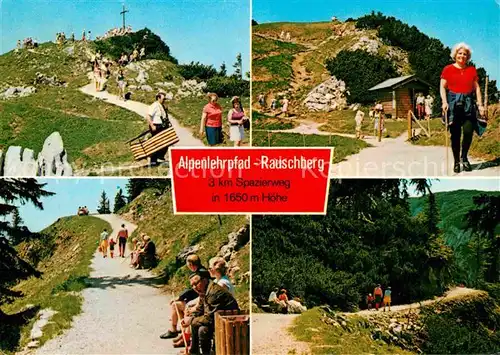 AK / Ansichtskarte Ruhpolding Alpenlehrpfad Rauschberg Kat. Ruhpolding