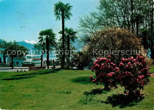 AK / Ansichtskarte Locarno Lago Maggiore Park