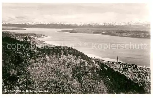 AK / Ansichtskarte Sipplingen Bodensee Alpenfernblick