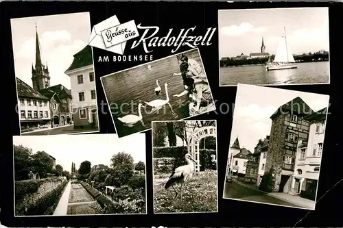 AK / Ansichtskarte Radolfzell Bodensee Segelboot Kirche Storch Kat. Radolfzell am Bodensee
