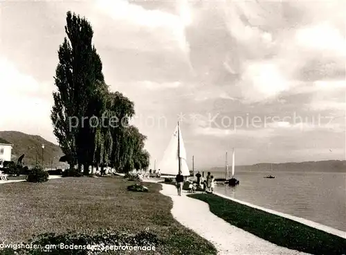 AK / Ansichtskarte Ludwigshafen Bodensee Seepromenade Kat. Bodman Ludwigshafen