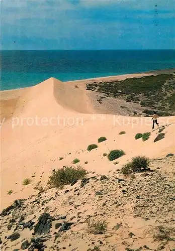 AK / Ansichtskarte Fuerteventura Kanarische Inseln Duenen von Jandia Kat. 
