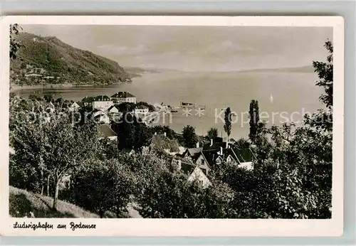 AK / Ansichtskarte Ludwigshafen Bodensee Panorama Kat. Bodman Ludwigshafen