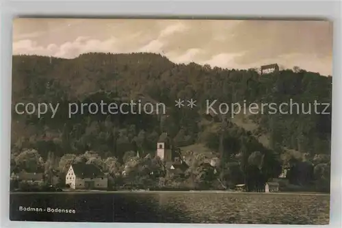 AK / Ansichtskarte Bodman Bodensee Panorama