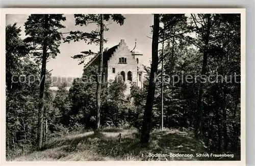 AK / Ansichtskarte Bodman Bodensee Schloss Frauenberg