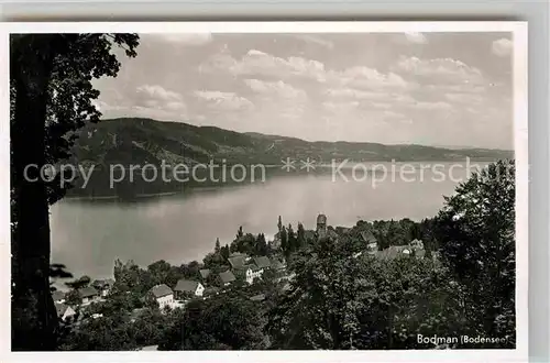 AK / Ansichtskarte Bodman Bodensee Panorama