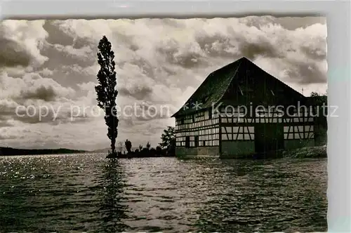 AK / Ansichtskarte Bodman Bodensee Greth Gebaeude alte Schiffslaende