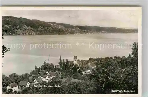 AK / Ansichtskarte Bodman Bodensee Gasthof Pension Adler