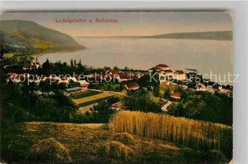 AK / Ansichtskarte Ludwigshafen Bodensee Panorama Kat. Bodman Ludwigshafen