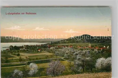 AK / Ansichtskarte Ludwigshafen Bodensee Panorama Kat. Bodman Ludwigshafen