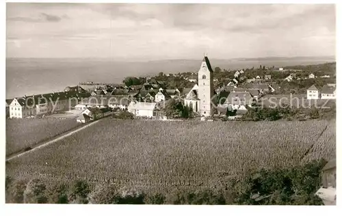 AK / Ansichtskarte Hagnau Bodensee Panorama Kat. Hagnau am Bodensee