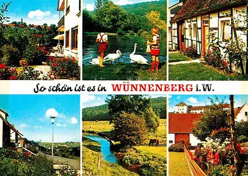 AK / Ansichtskarte Wuennenberg Teilansichten Kneipp Luftkurort Schwanenteich Bachlauf Kat. Bad Wuennenberg