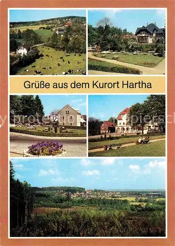 AK / Ansichtskarte Hartha Doebeln Buchenweg Kurhaus Kurplatz Ferienheime Kat. Hartha Doebeln