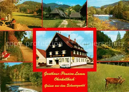 AK / Ansichtskarte Oberkollbach Gasthaus Lamm Kat. Oberreichenbach