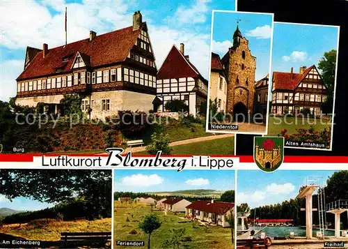 AK / Ansichtskarte Blomberg Lippe Burg Niederntor Altes Amtshaus Freibad Feriendorf Eichenberg Luftkurort Kat. Blomberg