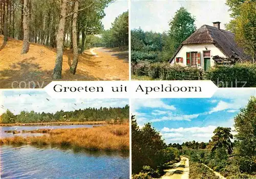 AK / Ansichtskarte Apeldoorn Berg en Bos Landschaftspanorama Waldpartie Reetdachhaus Kat. Apeldoorn