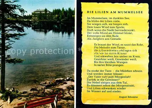 AK / Ansichtskarte Liederkarte Die Lilien am Mummelsee August Schnezler  Kat. Musik