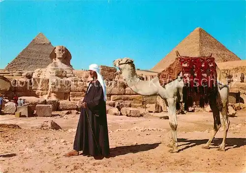 AK / Ansichtskarte Kamele Giza Sphinx Pyramids Cheops Chephren Kat. Tiere