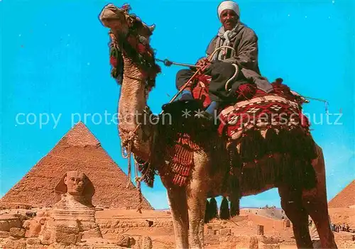 AK / Ansichtskarte Kamele Giza Camel Driver Sphinx Khafre Pyramid  Kat. Tiere