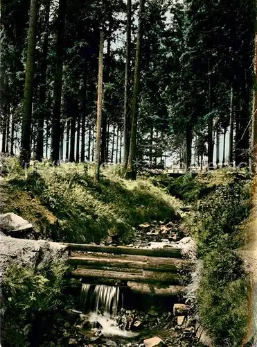 AK / Ansichtskarte St Andreasberg Harz Rehberger Grabenhaus Waldpartie Kat. Sankt Andreasberg