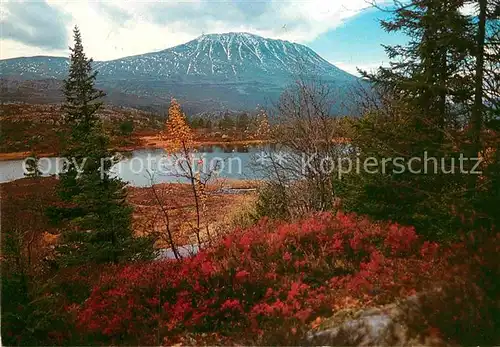 AK / Ansichtskarte Rjukan Telemark Gaustatoppen