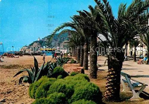 AK / Ansichtskarte Calella Paseo de las Palmeras Palmen Strand Kat. Barcelona